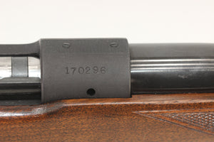 .22 Hornet Standard Rifle - 1950