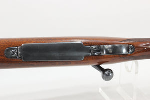 .22 Hornet Standard Rifle - 1949