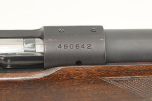 .264 Win Magnum Standard Rifle - 1960