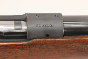 .270 Win Standard Rifle - 1953