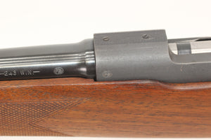 .243 Win Featherweight Rifle - 1961