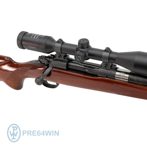 The pre64win.com PapWinkle Rifle