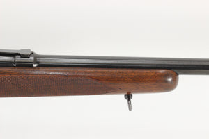 .22 Hornet Standard Rifle - 1951