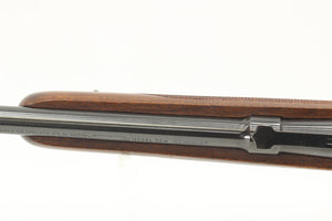 .22 Hornet Standard Rifle - 1951