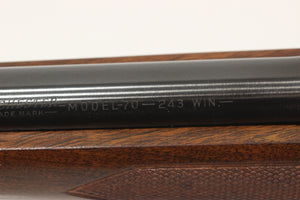 .243 Win Standard Rifle - 1962