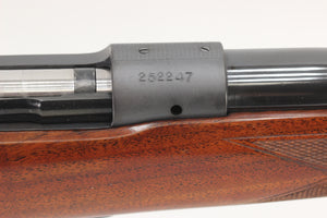 .22 Hornet Standard Rifle - 1953