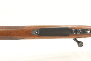 .243 Win Varmint Rifle - 1959