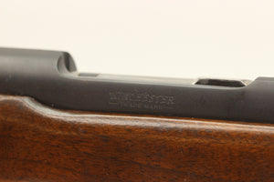 .300 H&H Mag Bull Gun - 1958