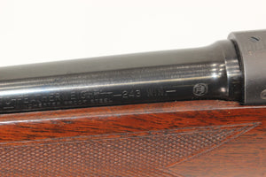 .243 Featherweight Rifle - 1957