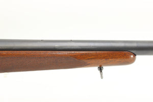 .243 Winchester Varmint Rifle - 1957