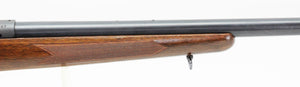 .243 Win Varmint Rifle - 1962