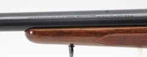 .243 Win Varmint Rifle - 1962