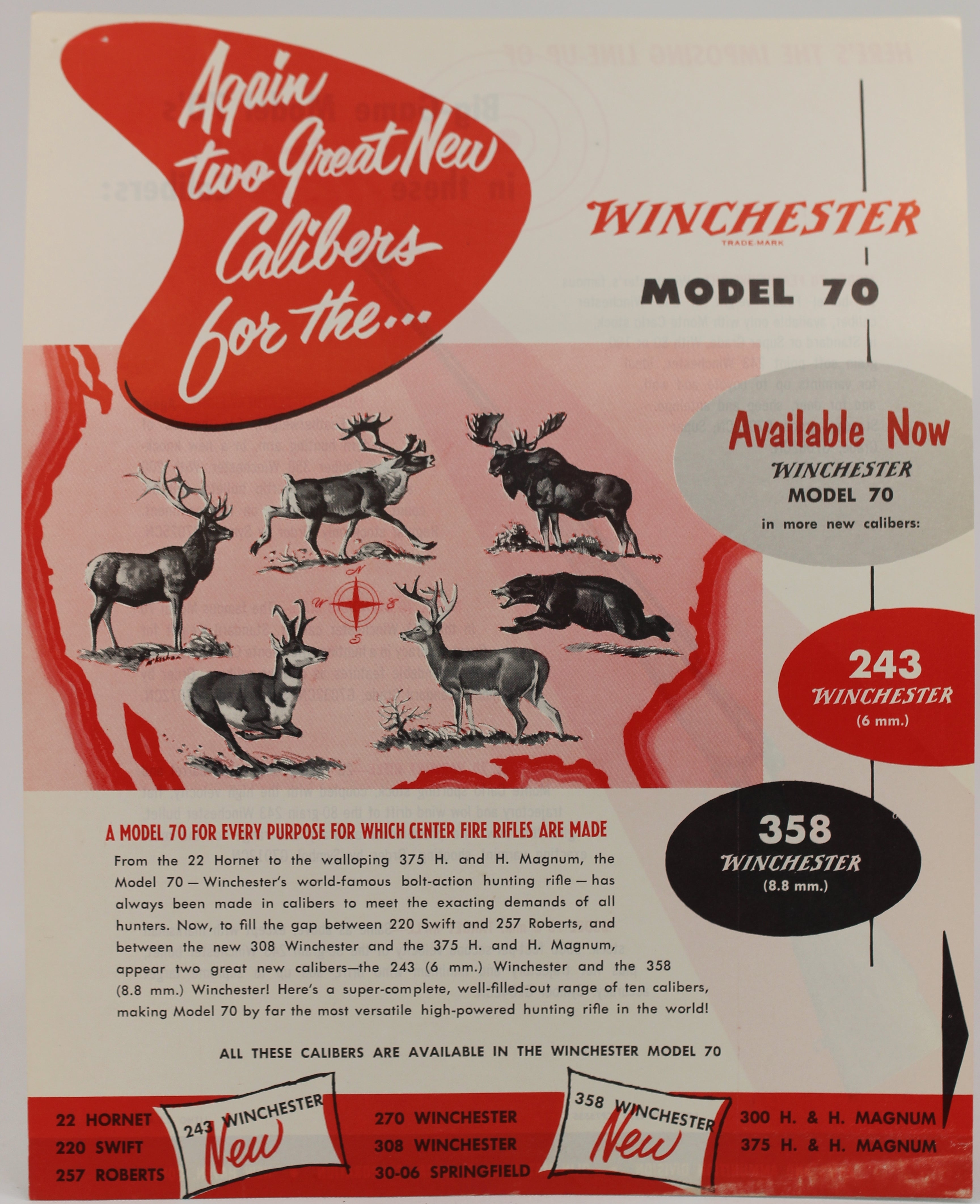 Complete Dealer Package - Winchester Model 70 FWT in two new calibers: 243 and 358