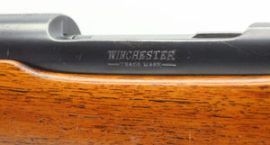 .22 Hornet Standard Rifle - 1937