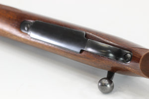 .22 Hornet Standard Rifle - 1949