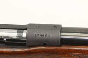 .22 Hornet Standard Rifle - 1951