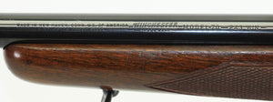 .243 Win Standard Rifle - 1957