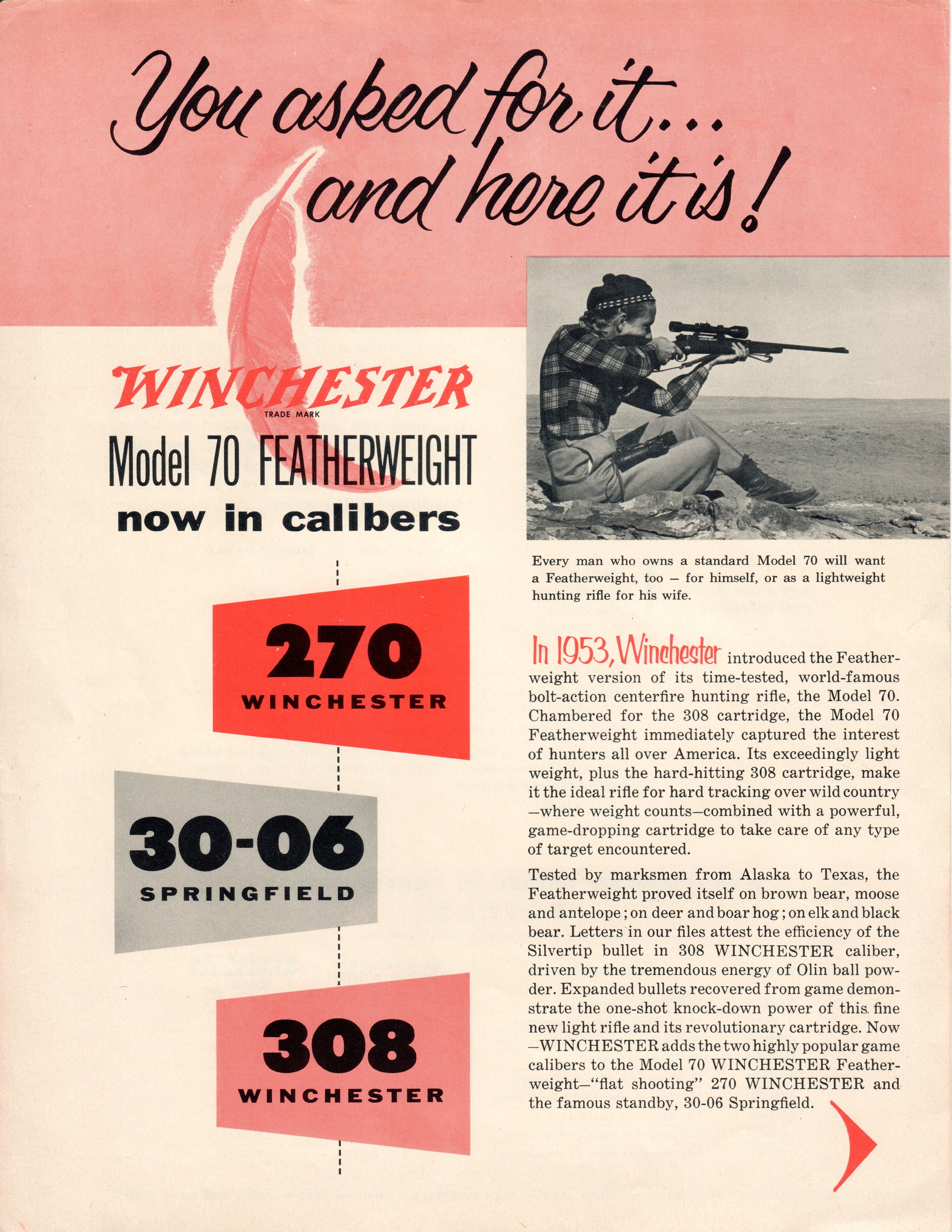 Winchester Brochure:  Model 70 Featherweight Now in 3 Calibers